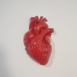 Cuore Anatomico Rosso da Parete, Scultura Passione e Amore, Arte Anatomica 3D, Decorazione Intensa, Cuore Pulsante